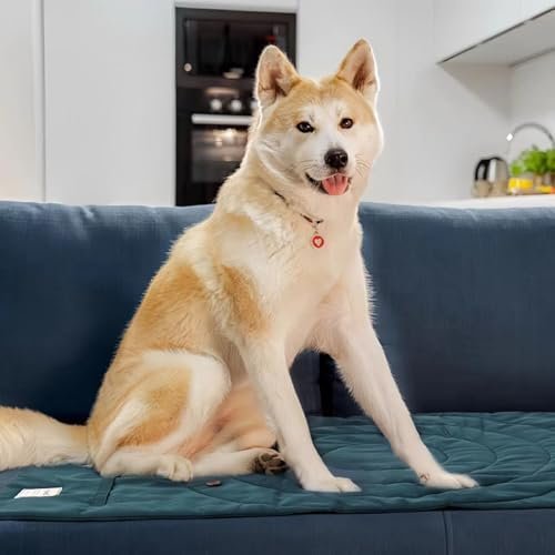 Foldable Waterproof Dog Mat | 37.4"x25.6" Portable Camping Travel Bed with Handle | All-Breed Training Pad, Machine Washable | Blocks Moisture, Easy Clean for Outdoor Adventures (Blue) - Image 4