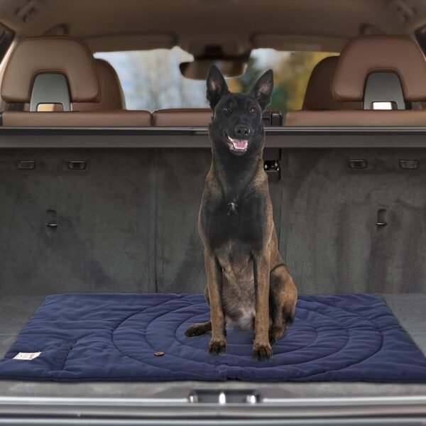 Foldable Waterproof Dog Mat | 37.4"x25.6" Portable Camping Travel Bed with Handle | All-Breed Training Pad, Machine Washable | Blocks Moisture, Easy Clean for Outdoor Adventures (Blue) - Image 9